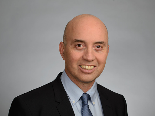 �����: �������