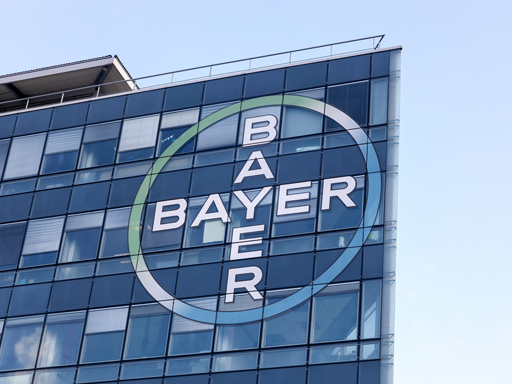 �����: depositphotos / ricochet69