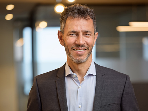 �����: ����� ����