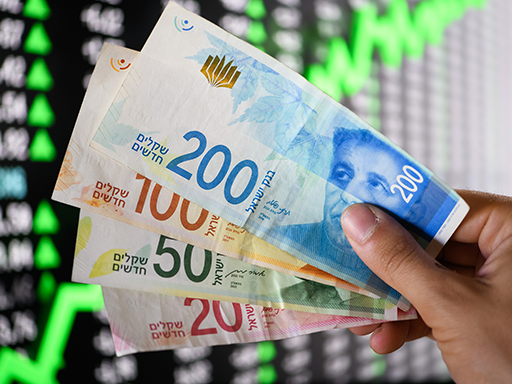 �����: ���� 90, ��� �������