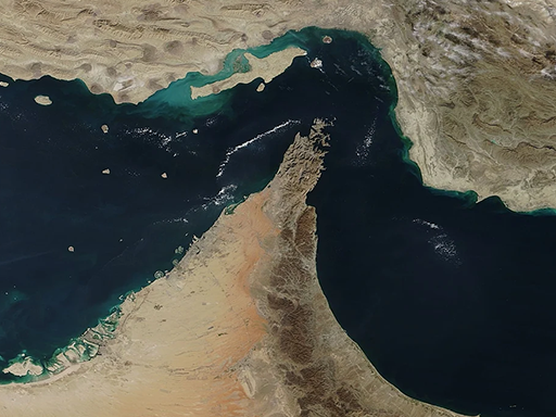 �����: ����