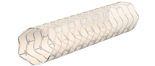 ITGI - העתיד נמצא בתחום הנוירולוגיה