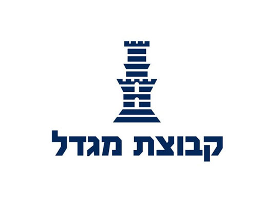 מגדל בעמדה מצוינת לתפוס את ההובלה בתחום הביטוח