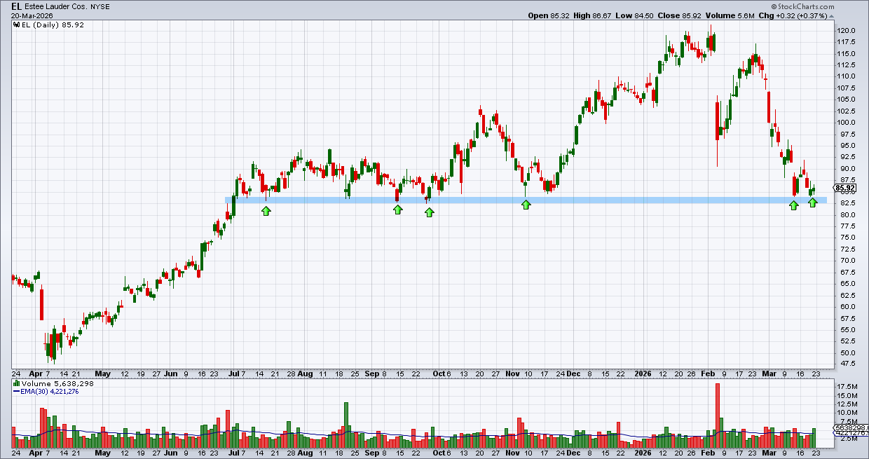אסתי לאודר אסתי לאודר