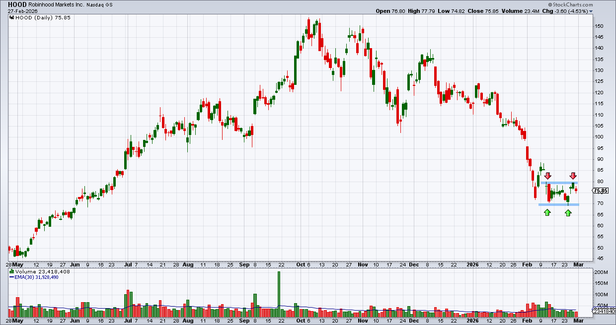 רובינהוד – רובינהוד –