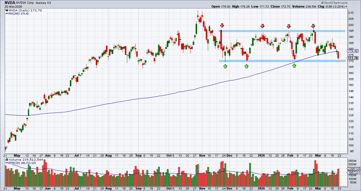 אנבידיה אנבידיה