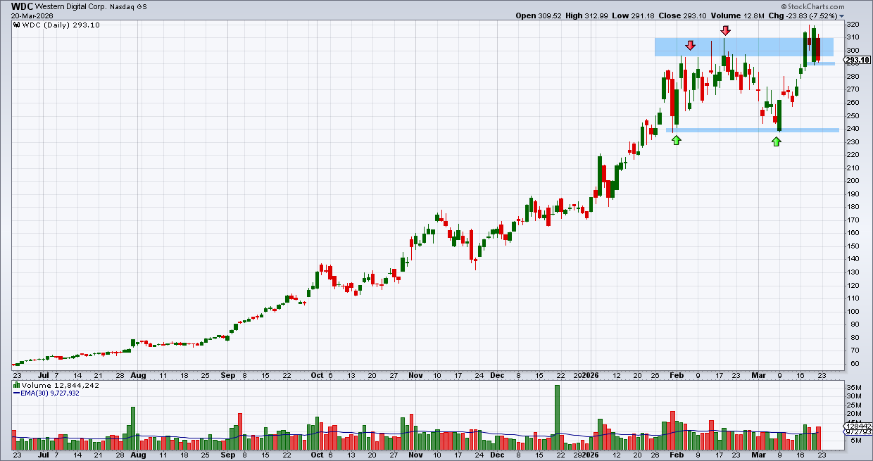 ווסטרן דיגיטל ווסטרן דיגיטל