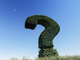 תואר במנהל עסקים - מה עושים עם זה?