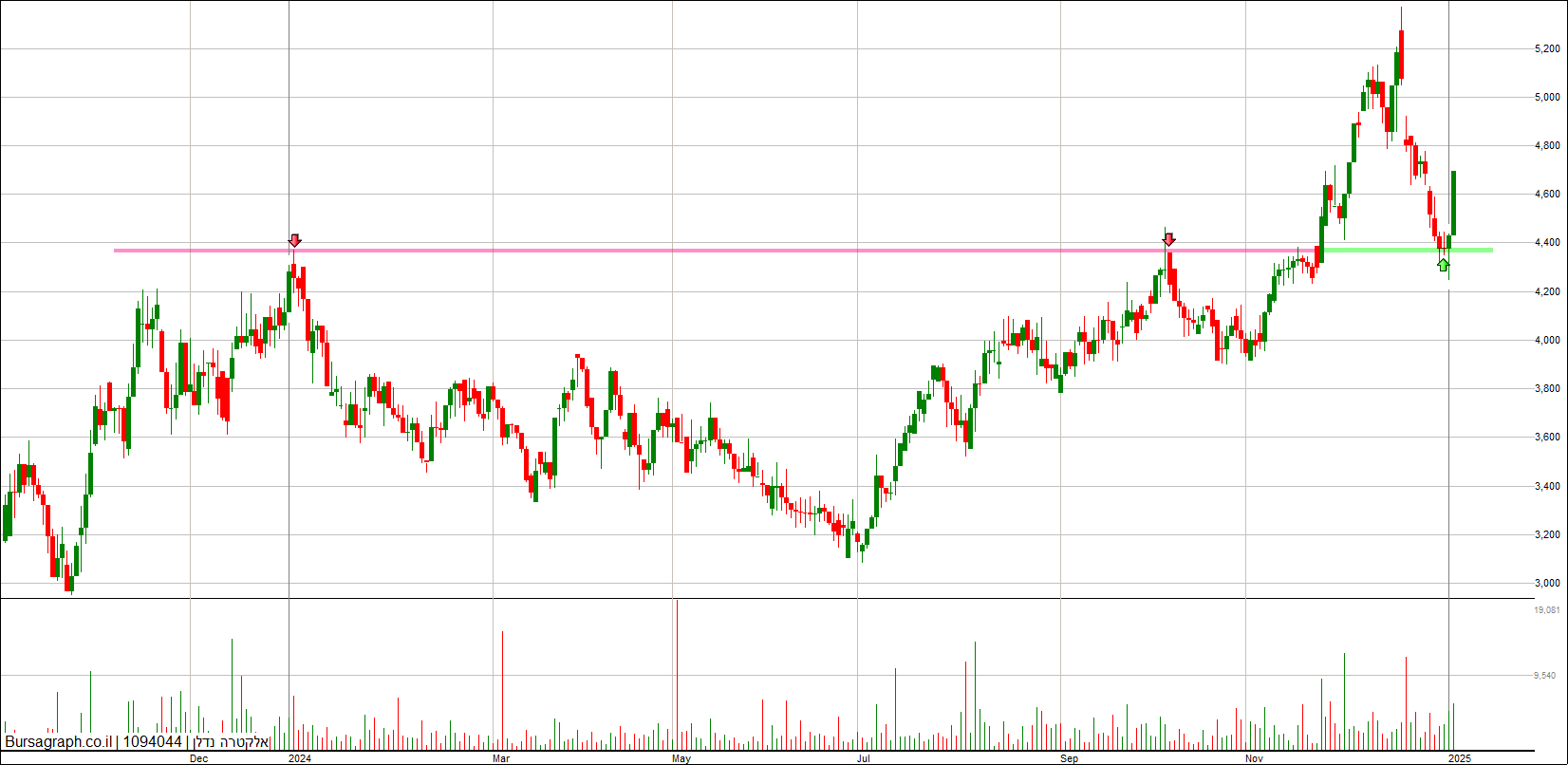 אלקטרה נדלן