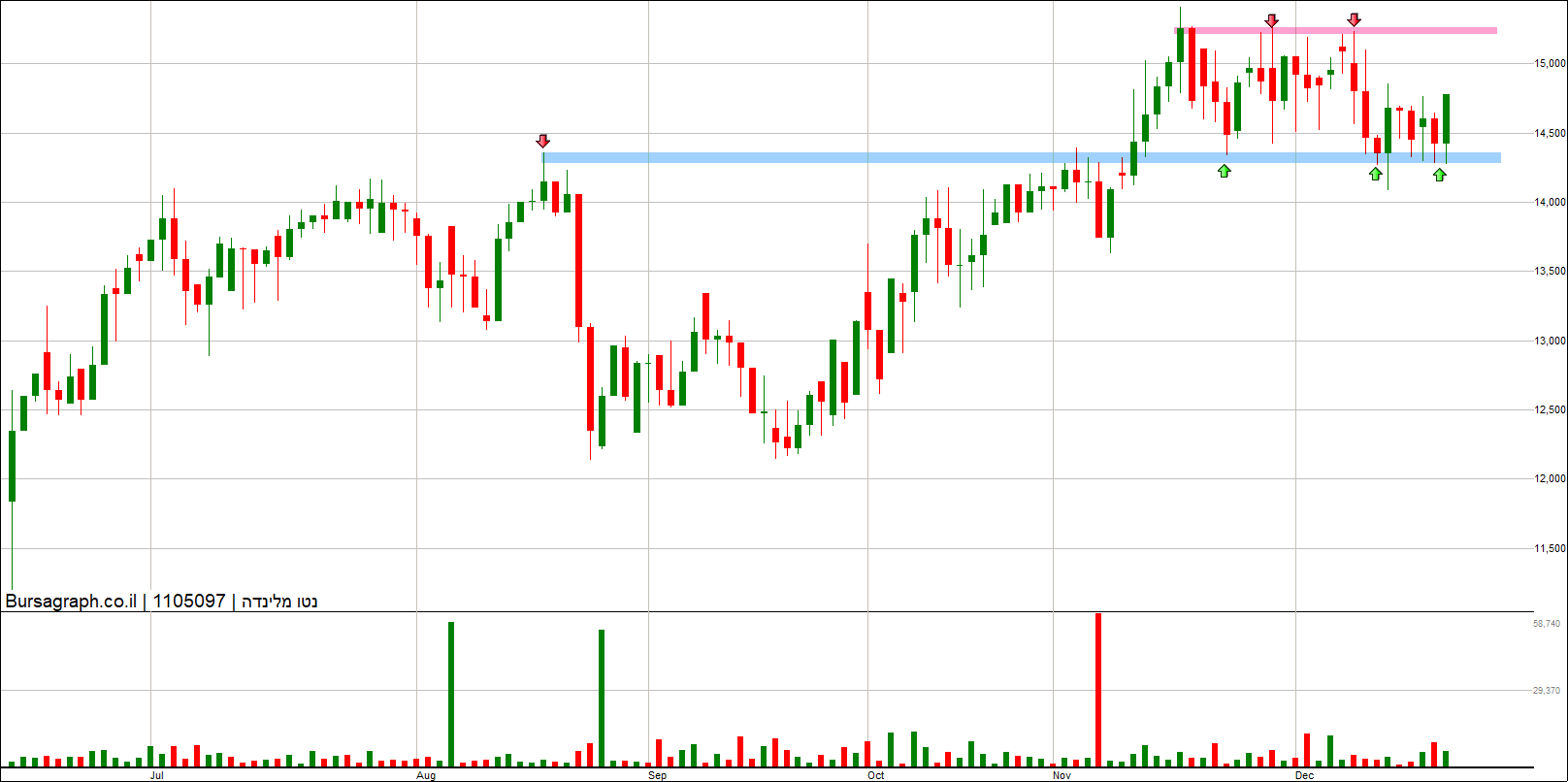 נטו מלינדה נטו מלינדה