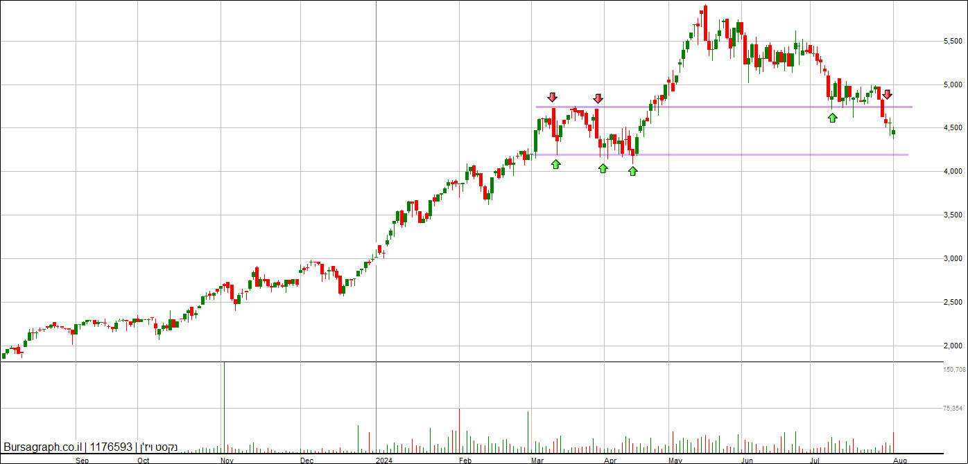 נקסט ויז&rsquo;ן