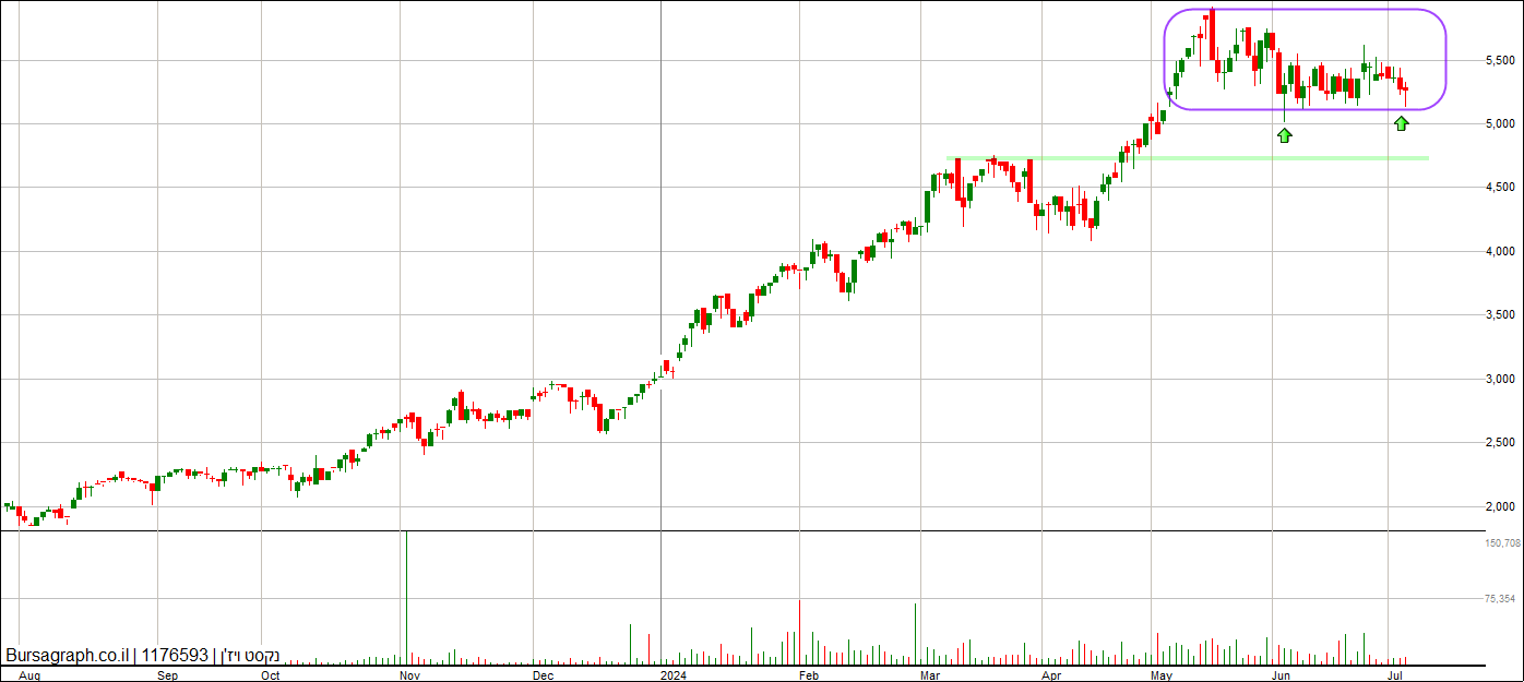 נקסט ויז&rsquo;ן