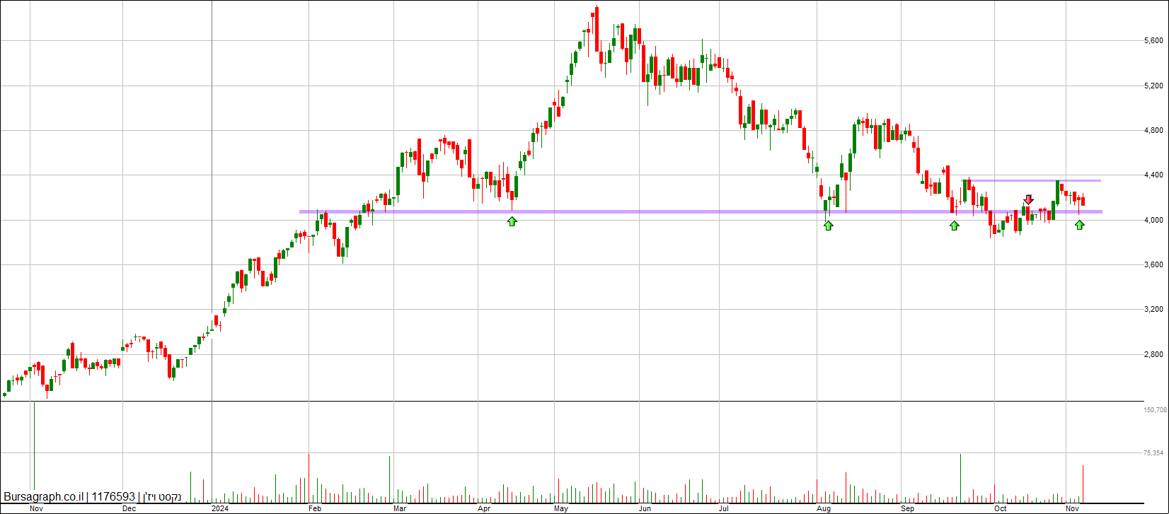 נקסט ויז&rsquo;ן