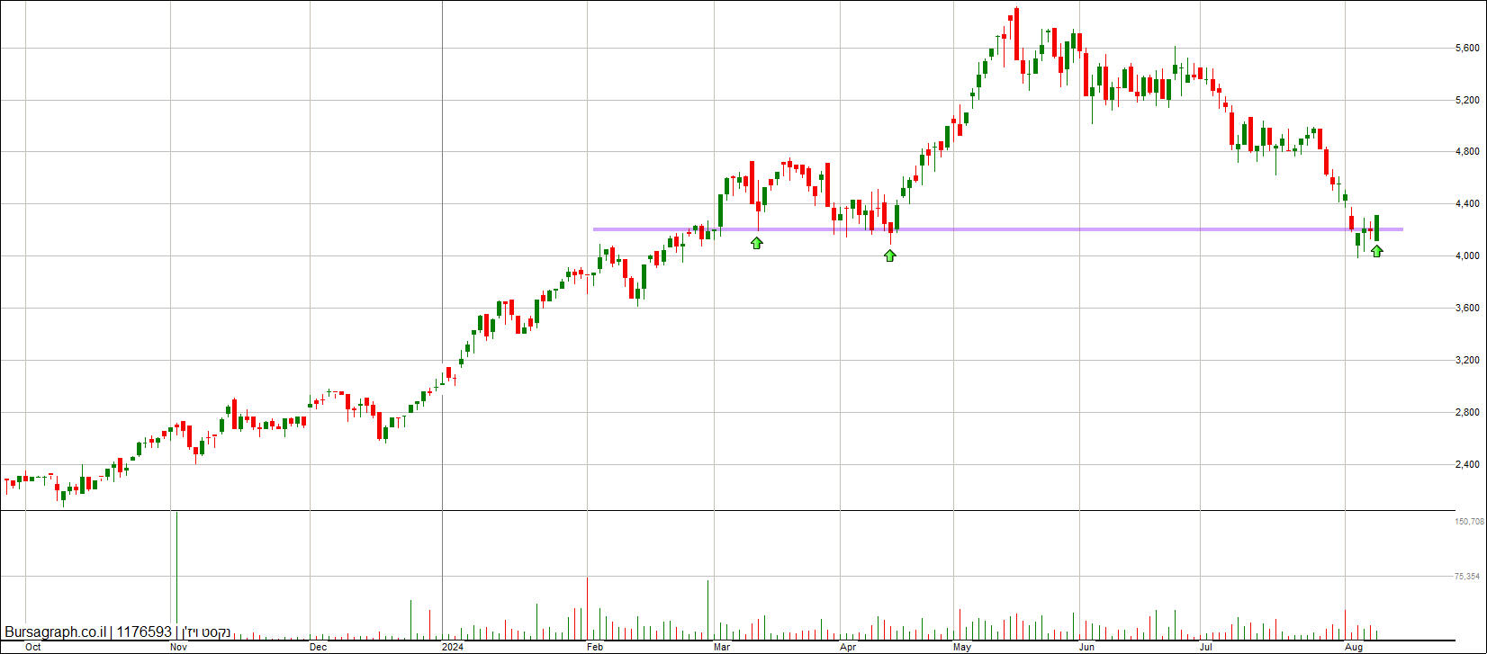 נקסט ויז&rsquo;ן