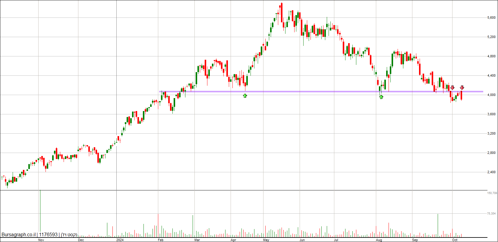 נקסט ויז&rsquo;ן
