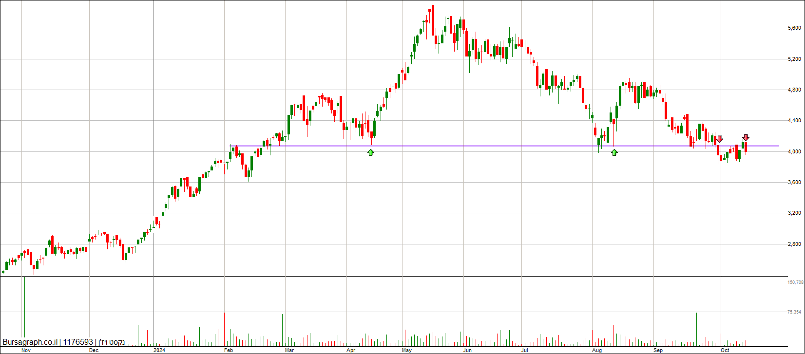 נקסט ויז&rsquo;ן