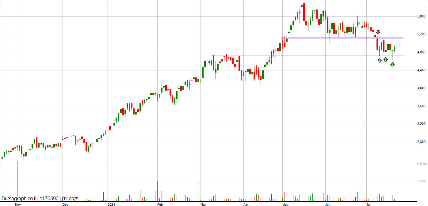נקסט ויז&rsquo;ן