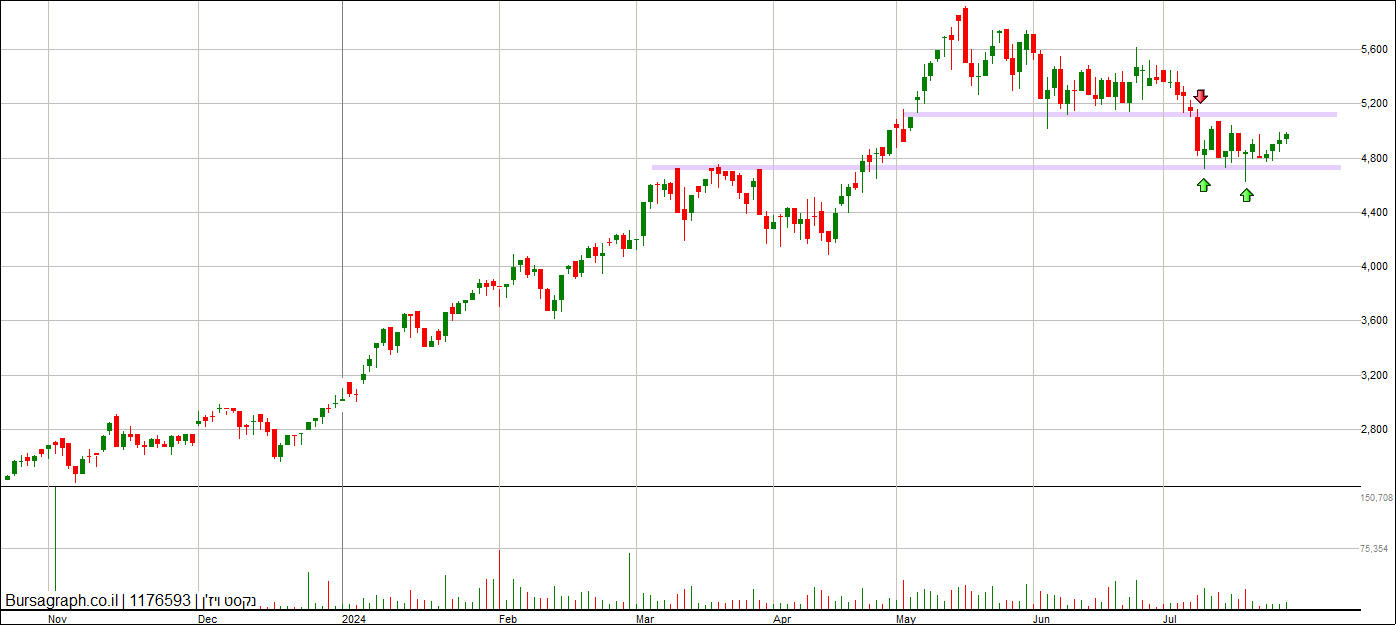 נקסט ויז&rsquo;ן