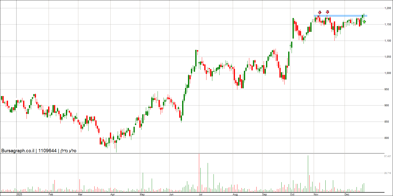 סלע נדלן סלע נדלן