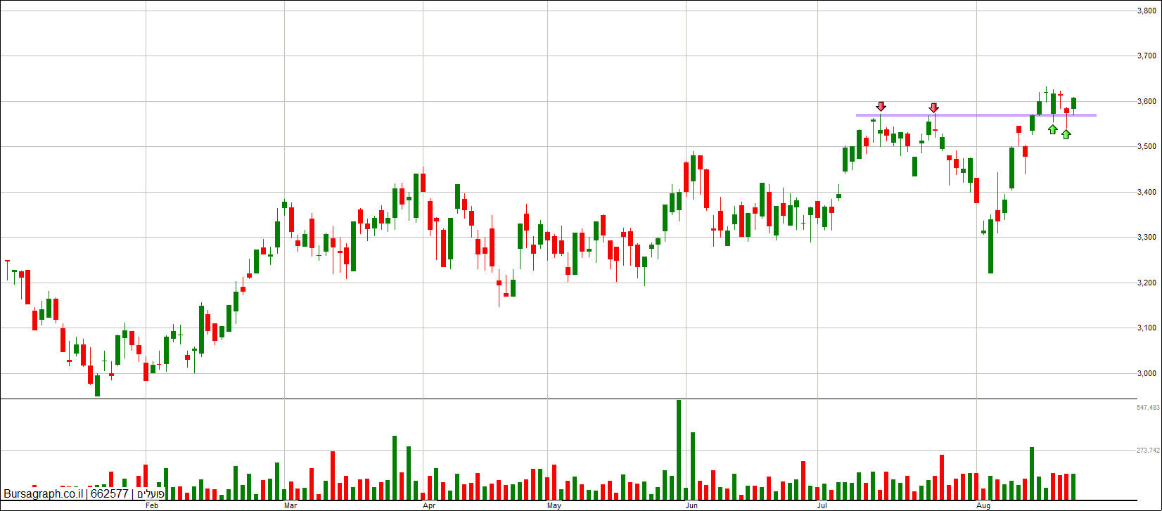 פועלים פועלים