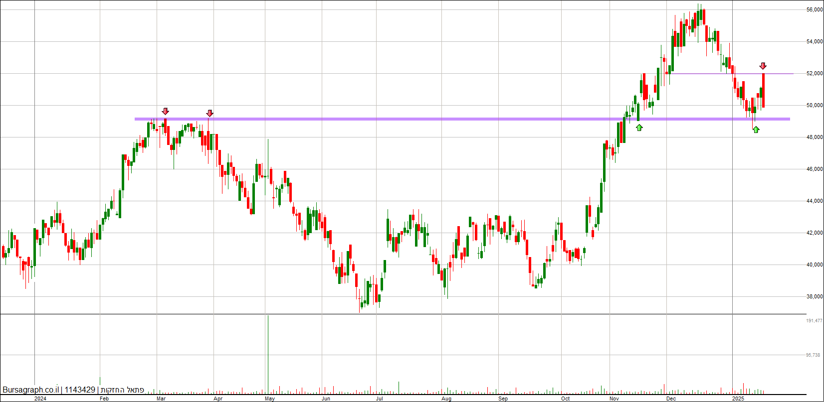 פתאל החזקות