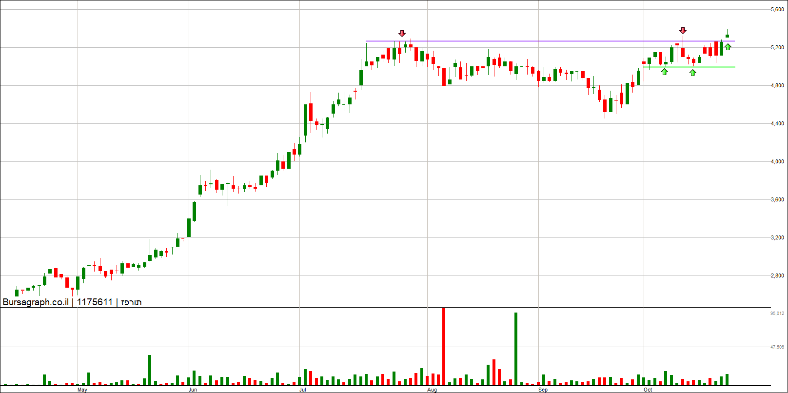תורפז תורפז
